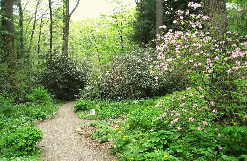 Garden in the Woods