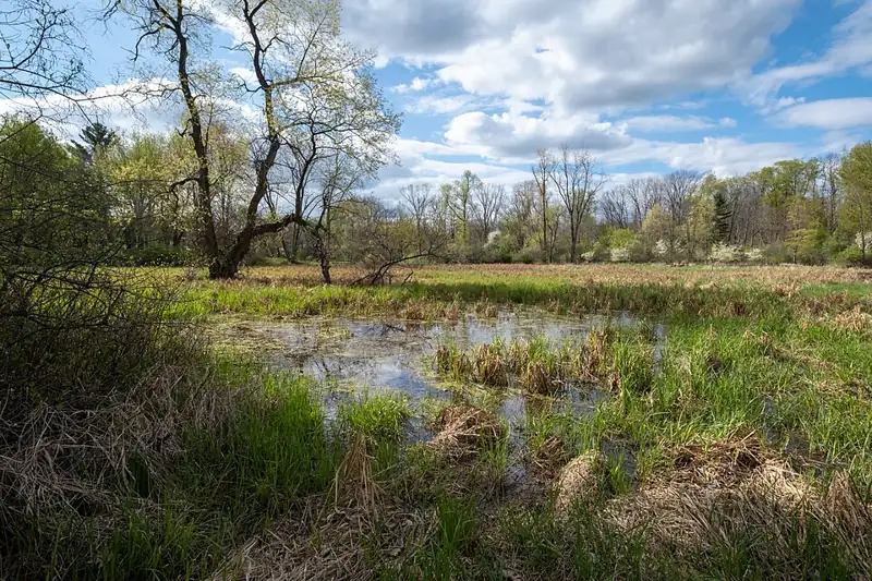 For-Mar Nature Preserve & Arboretum