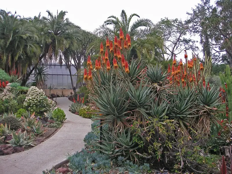 Desert Garden Conservatory