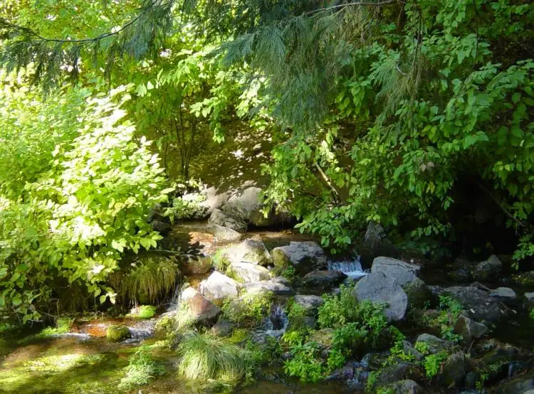 Dunsmuir Botanical Gardens