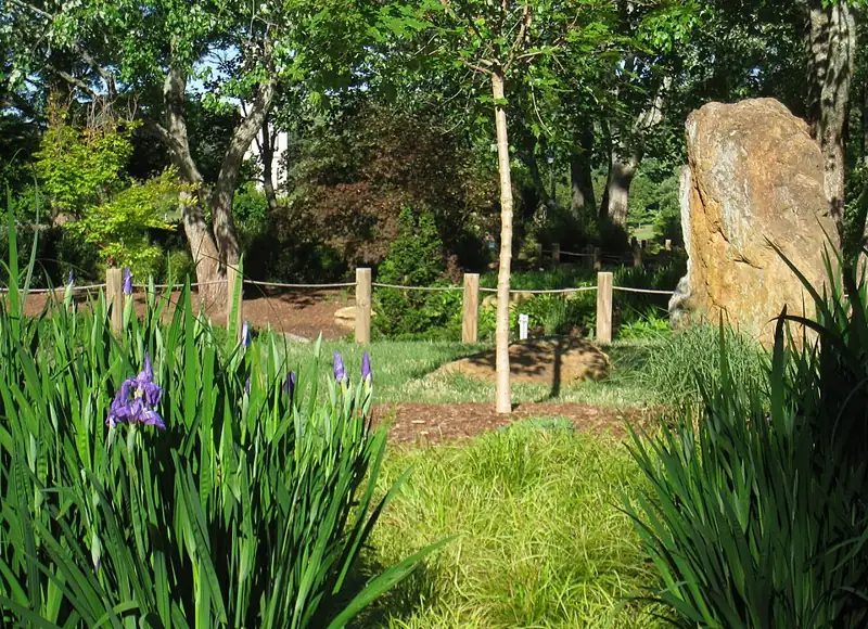Furman University Japanese Garden