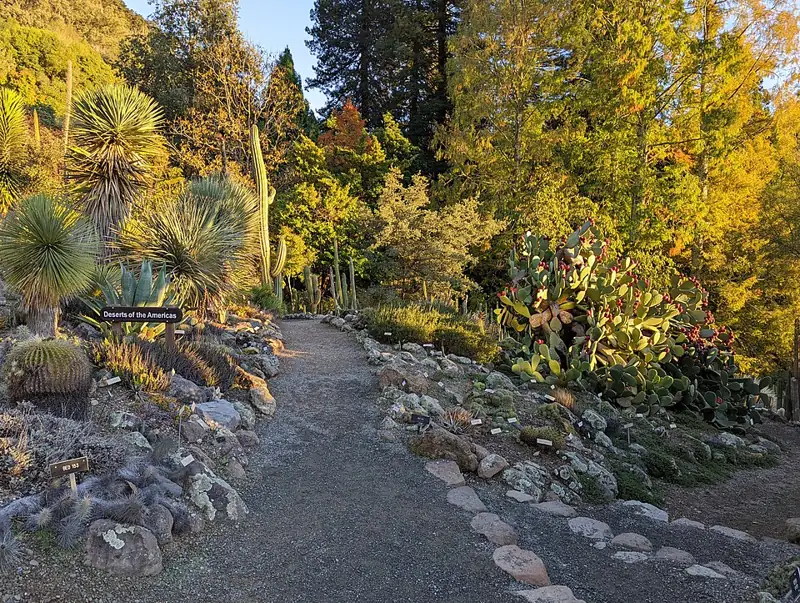 University of California Botanical Garden