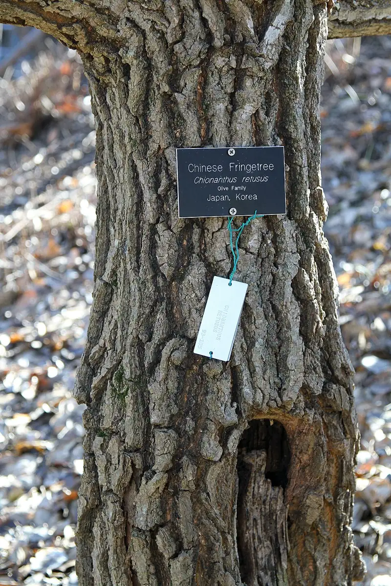 John J. Tyler Arboretum