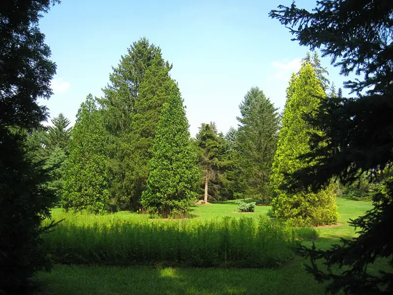 Lee and Virginia Graver Arboretum