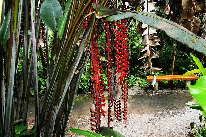 World Botanical Gardens